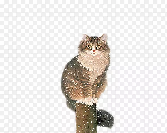 è����-è׮-������