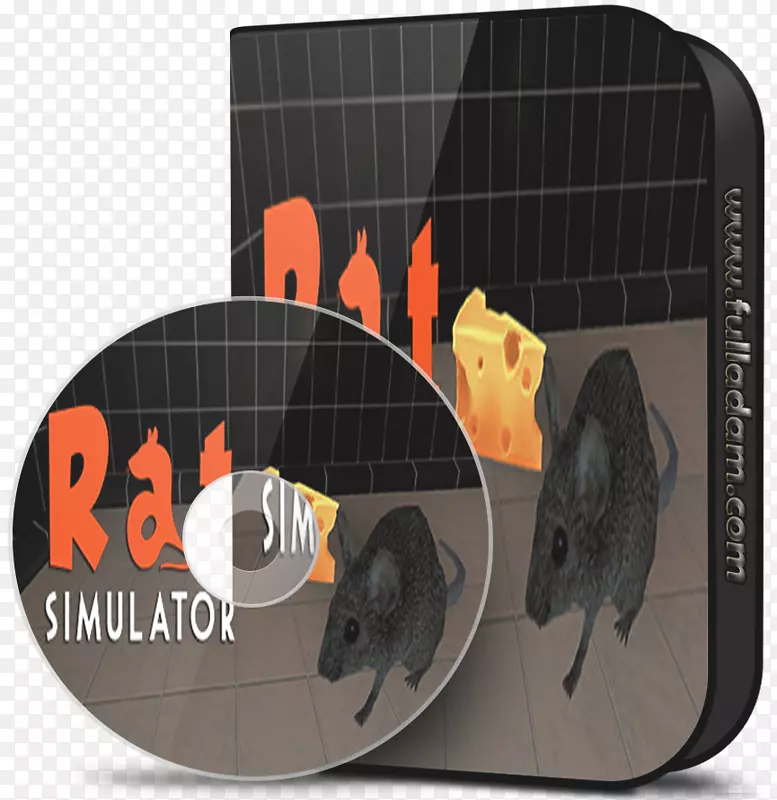 ���������-������