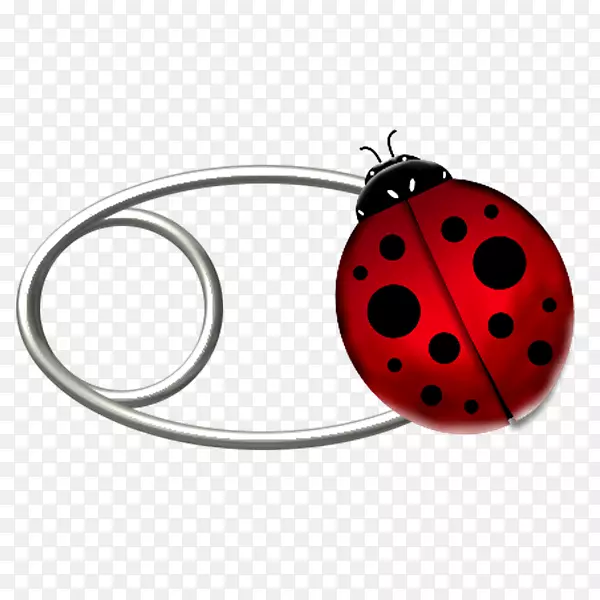 �����ֽ����-������