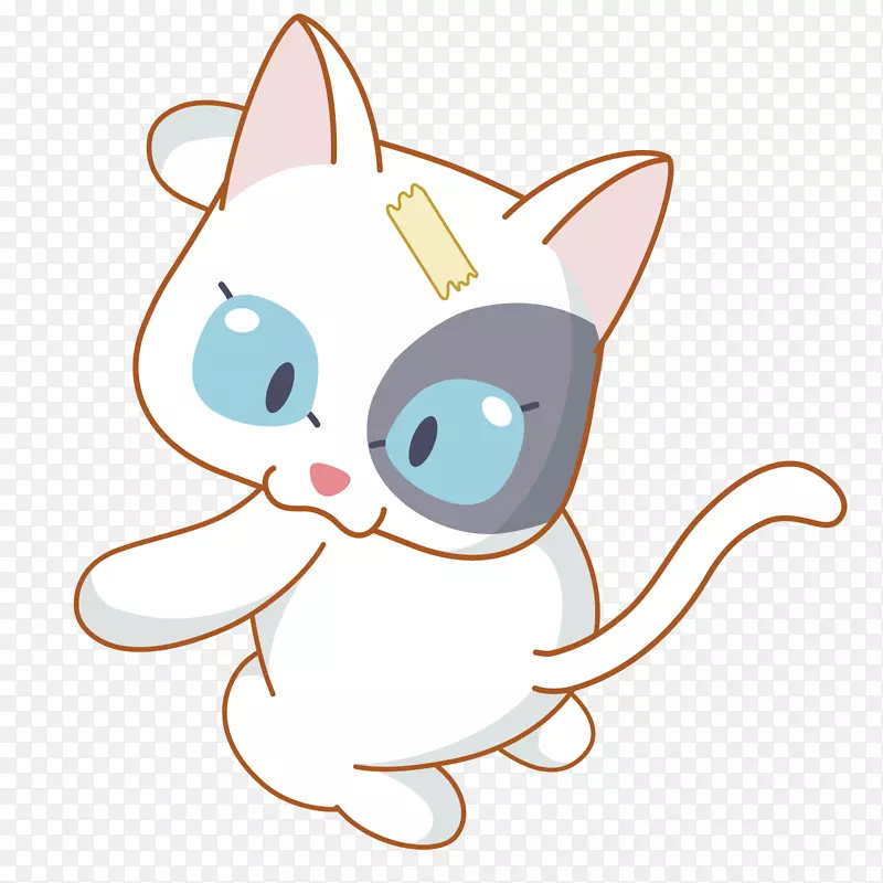 ��ͨ������-�ɰ���è-������