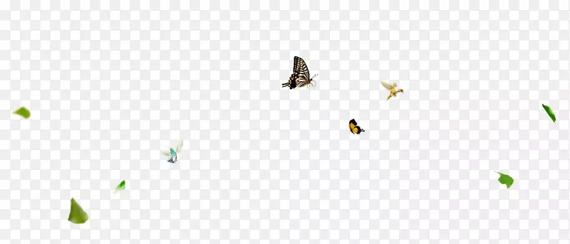 ���Ƶ�-������