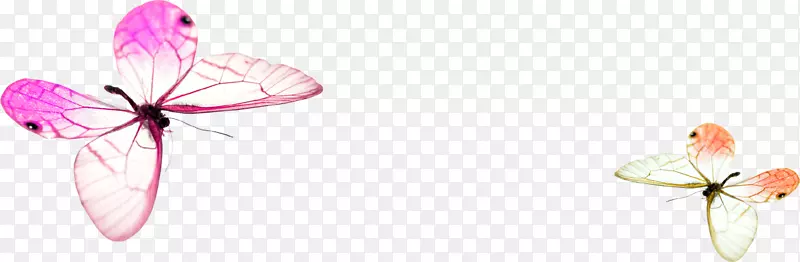 �����������-����-������