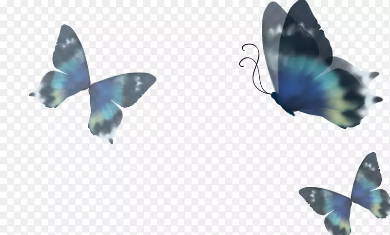 ˮ�ʻ�����ˮ�ʻ�-����-������