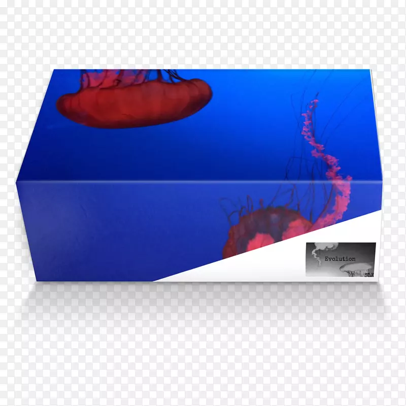 ��������.���-������