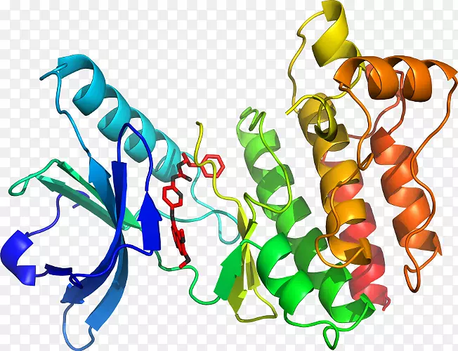 �����߶����������-������