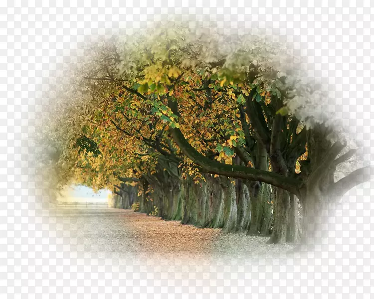 �����ֽ�＾����������Ӱ-�＾-������