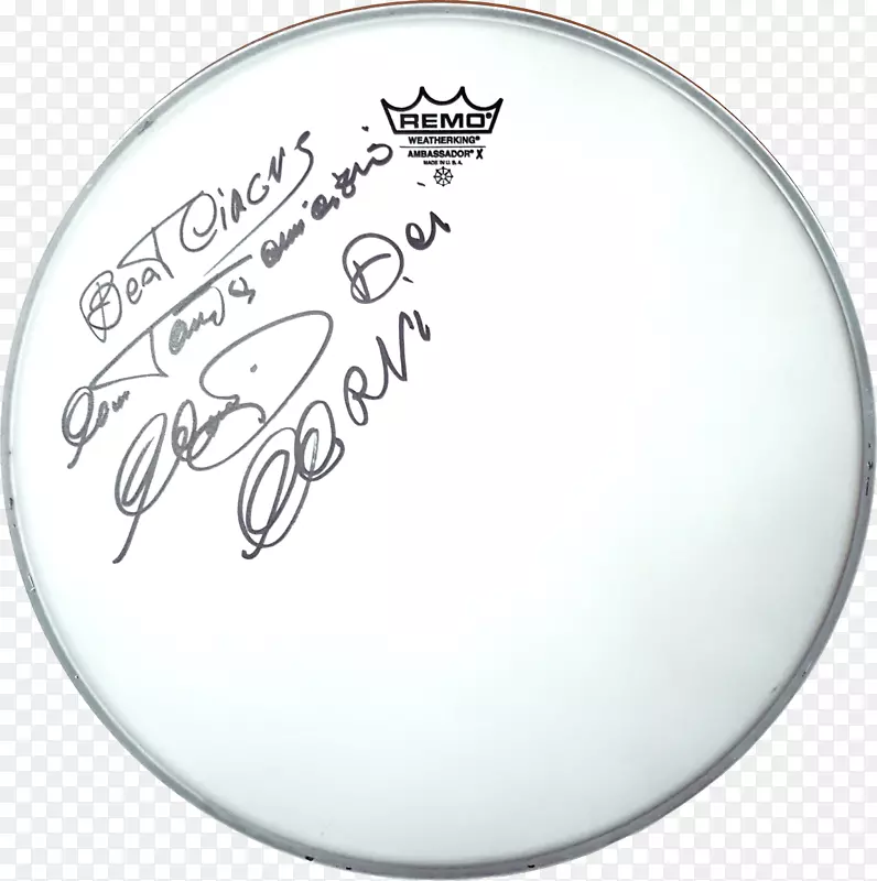 ��ͷREMO����������-������