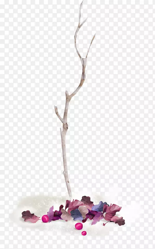 ����ѹ����������������-������