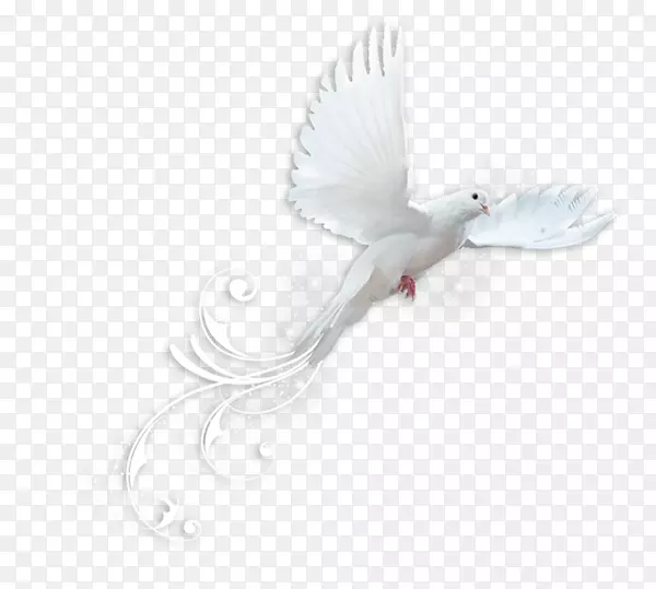 ��ë�-��ë-������