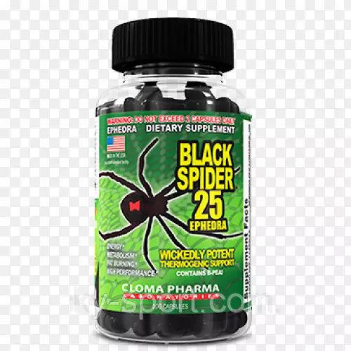 ֩���Ϸ��ڹѸ��۸���ʳ��������֩��-������