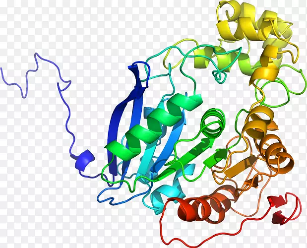 �����������������-������