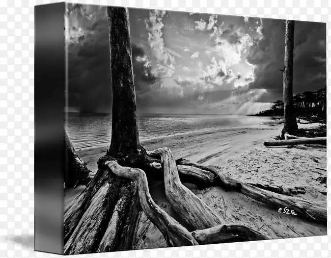 ������Ӱ����ľ��Ʒ��Ӱ.ľ��-������