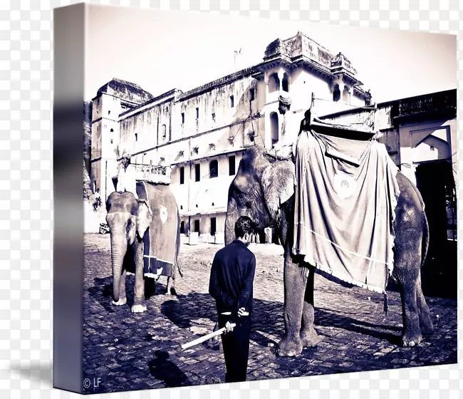 ӡ�Ȱ���-������