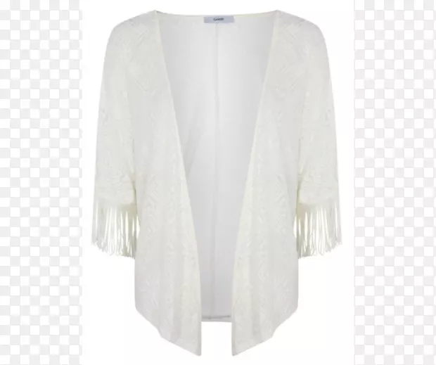 ��ë���������-�¹���װ-������