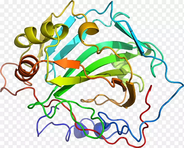 ֱ�ߵ�Ҷ��������-������