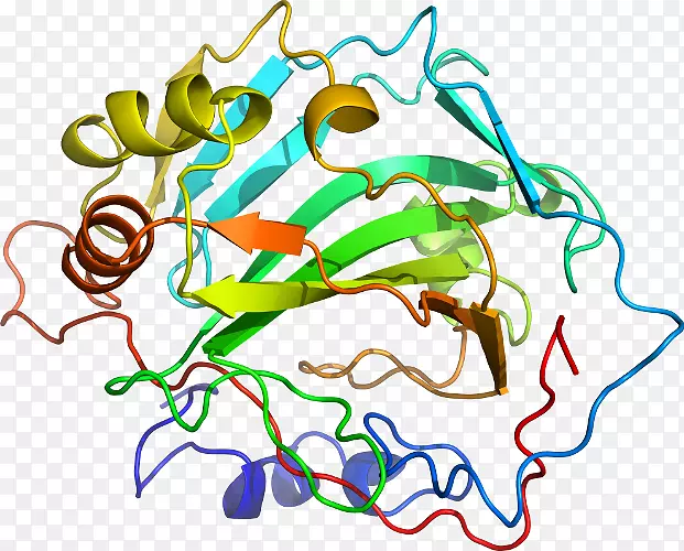 �ߵ������������-������