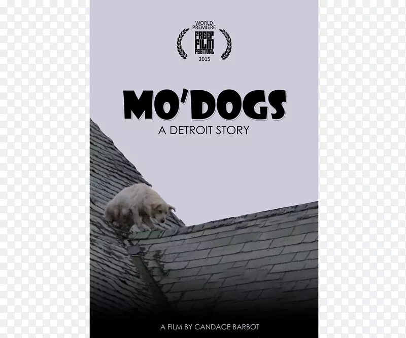 ����������-���պ���-������