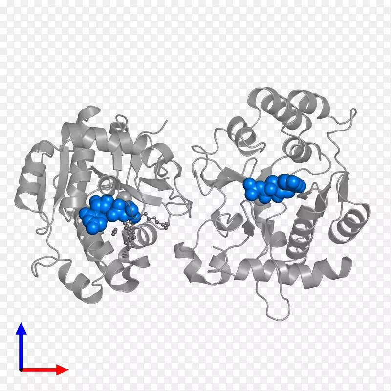 �������鱦����-�鱦-������