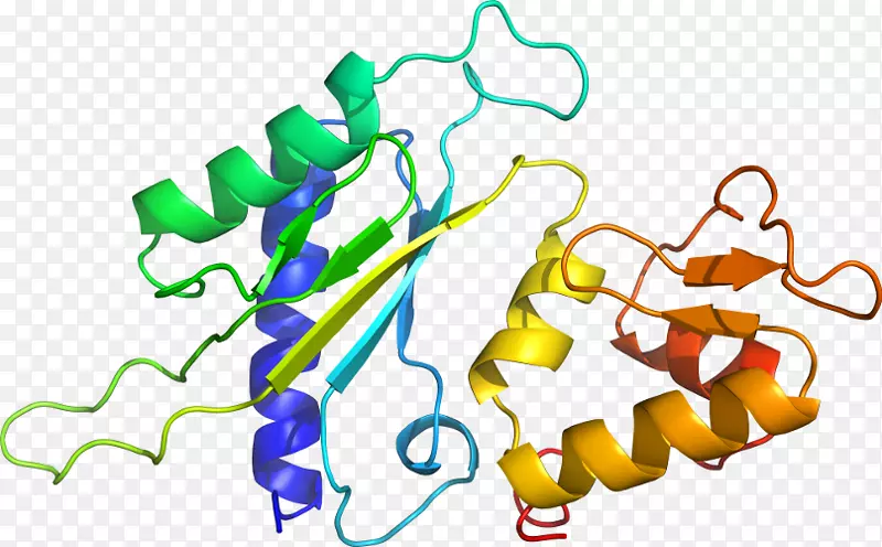 �ߵ������������-������