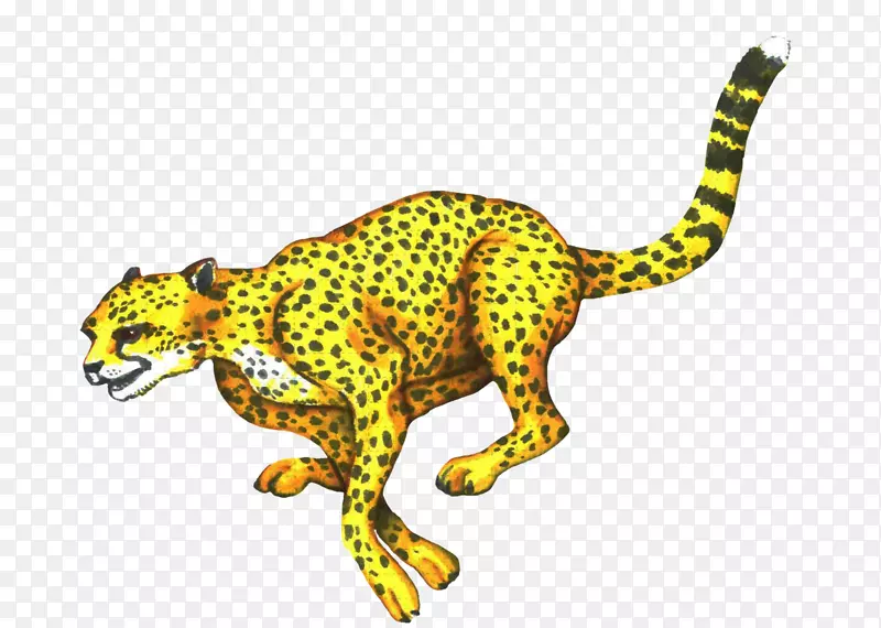 �Ա����ޱ�½�������Ա�-������