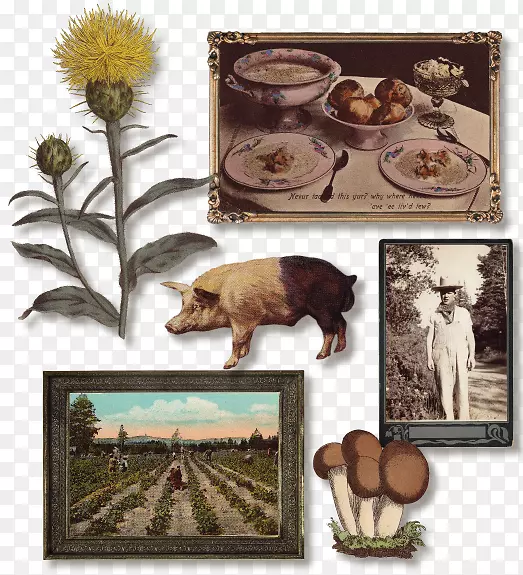 �����˵����Ѿ�����-�˵�-������