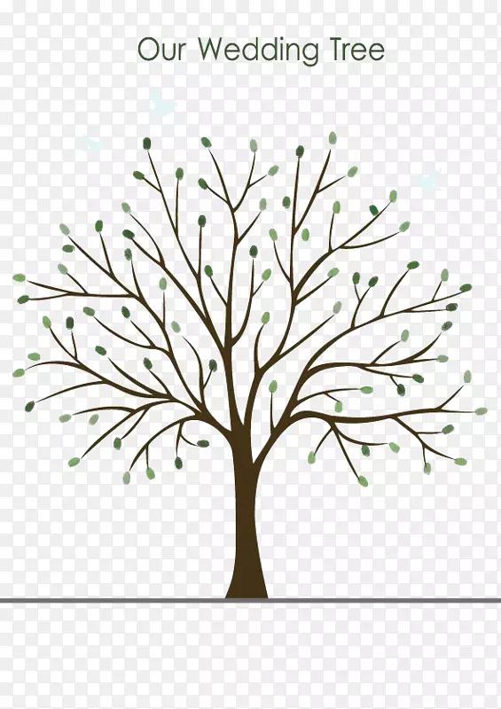 ����ָ�����Բ���-��ɫӢ�Ķ���������-������