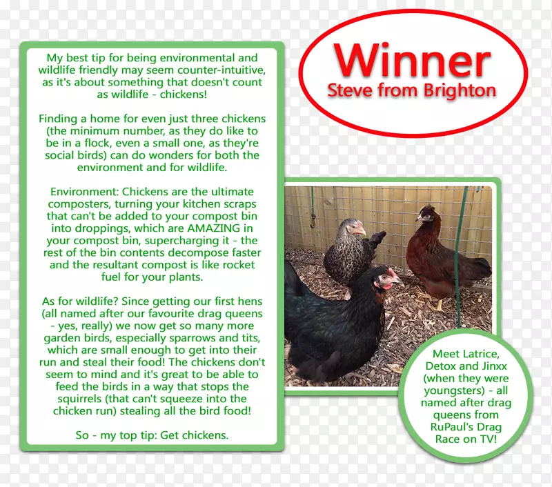 �������๼���Ϊʳ��-������