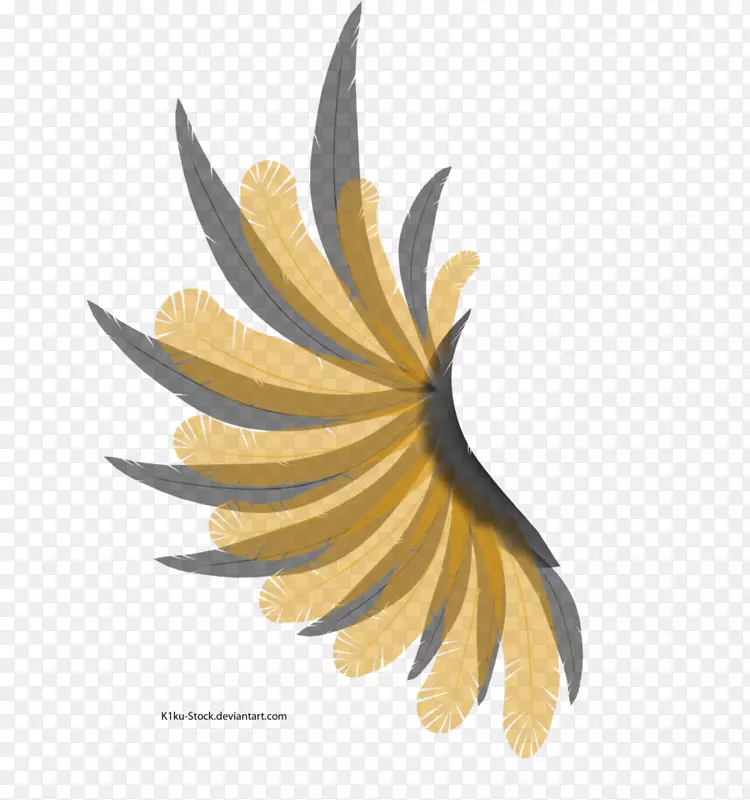 ����ֲ��ڳ�-������