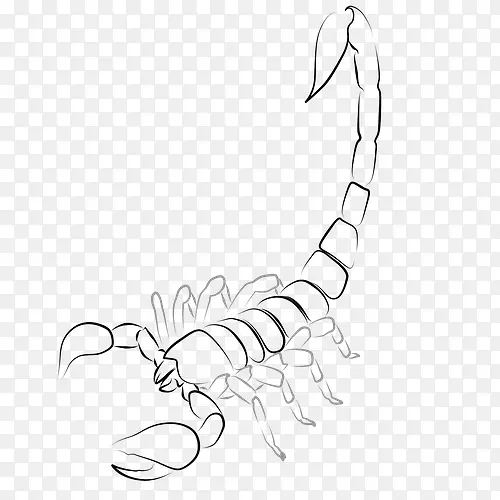 ����������ͨ��ָ������Ы�ӿ�ͨ-������