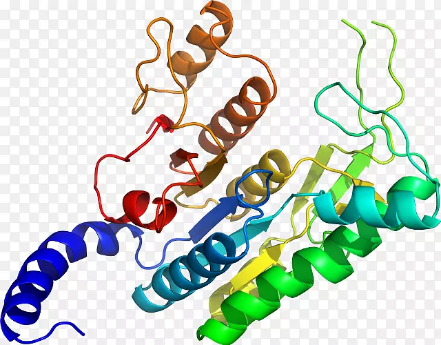 �����鱦�л�������������.�鱦-������