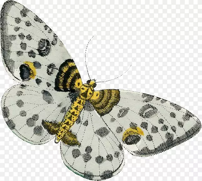 ��ƻ�-������