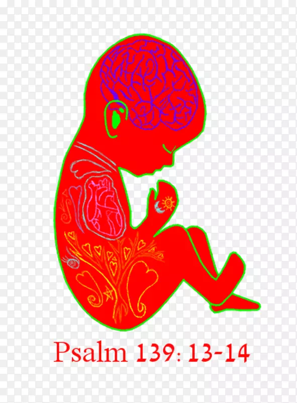 ���ﶯ�������ɺ�-������