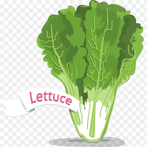 �����۲�԰�����߲��ֻ��߲�-������