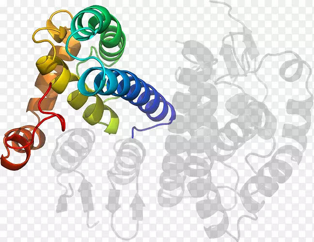 �޼�׵����ʳ���������-������