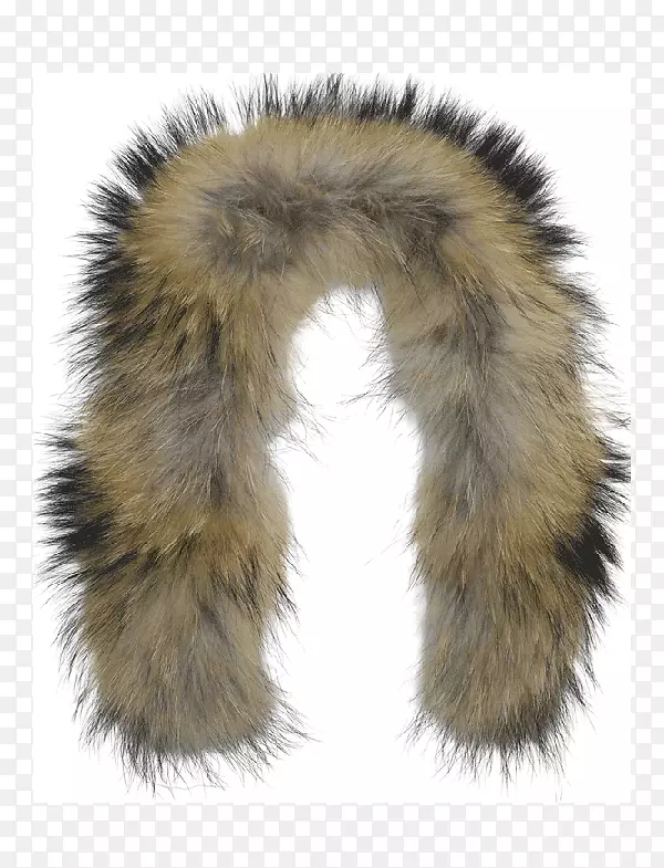 ëƤ����-ŮʿëƤ-������