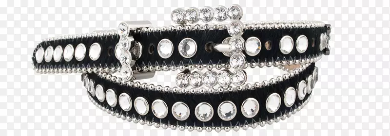 �����鱦���������PNG�Ŵ�-������