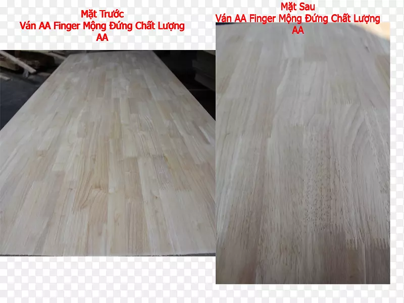 ���ϰ���ָ�ؽ�����-������