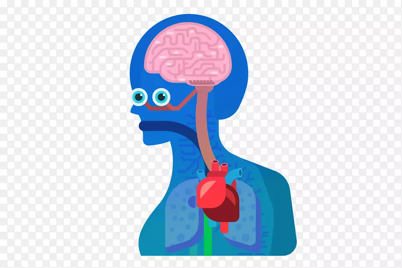 Kurzgesagt-�����֮���µϰĴ����ǿ�ѧԺ�ؼ��ʹ���-�µ�-������