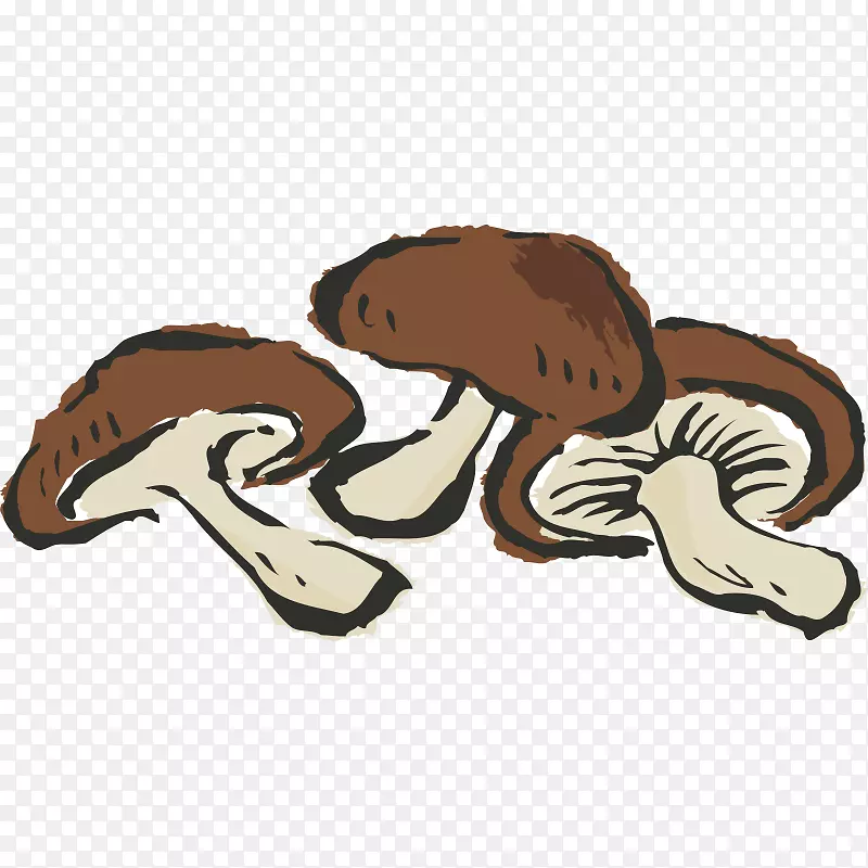 �ֻ��߲�ѧǰѧϰ�ֻ����ˮ���߲˿�ͨ-������