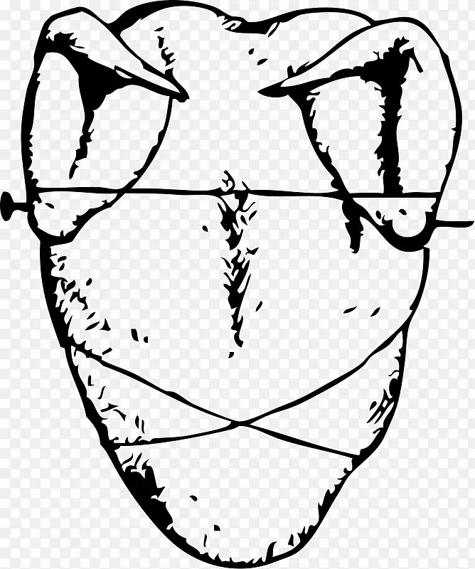 ���鿾����Ϊʳ��-��-������