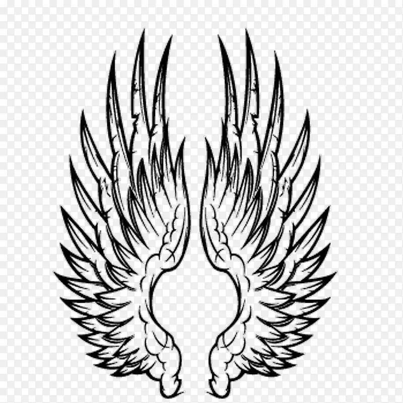 ���ո���ֽ��-������