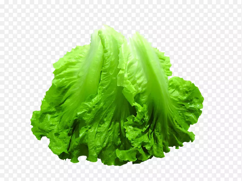 �����߲�ʳƷ�����߲�-������