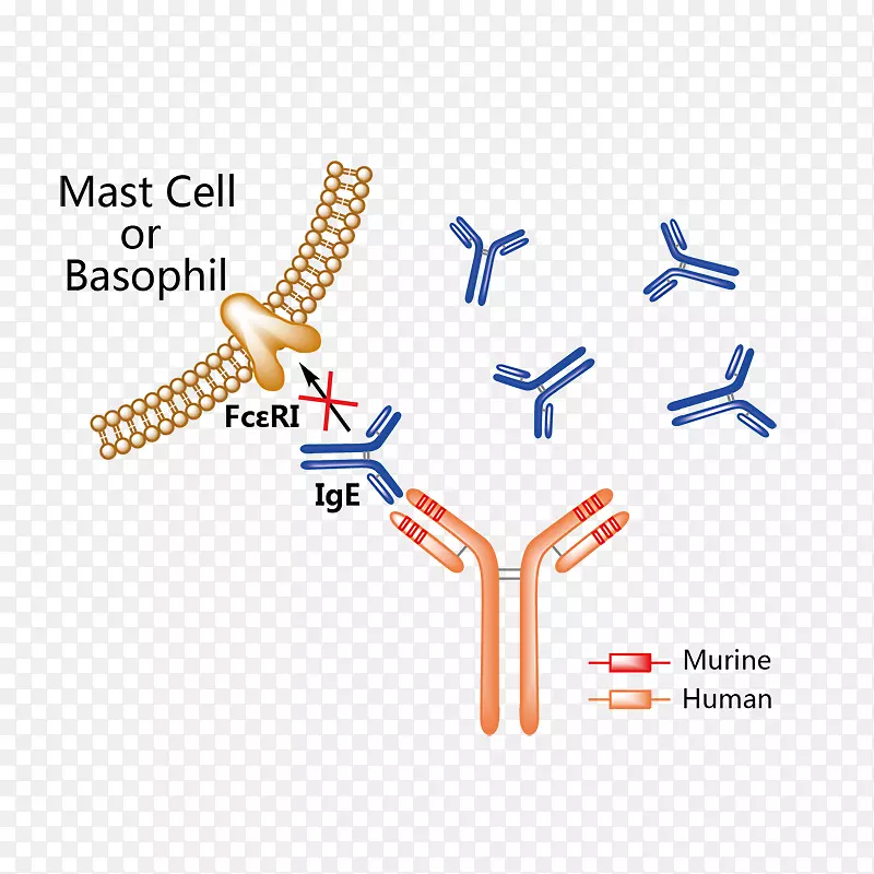 ����������ҩ��ҩ��������-��ҩ��-������