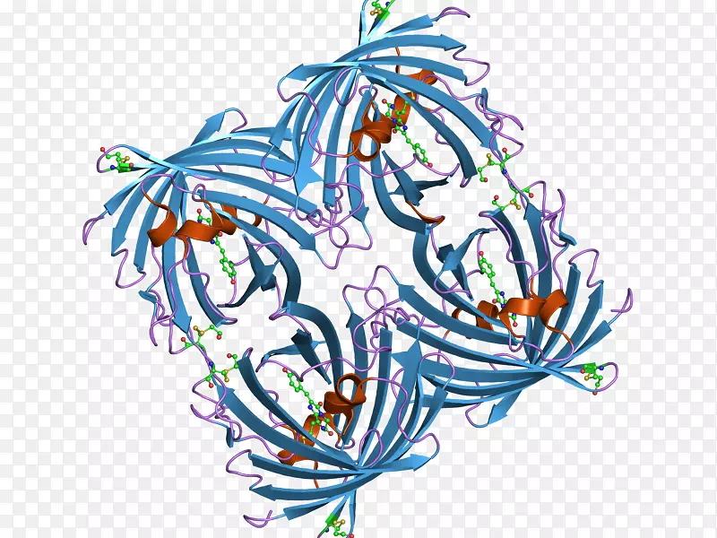 ƽ��������������������-������