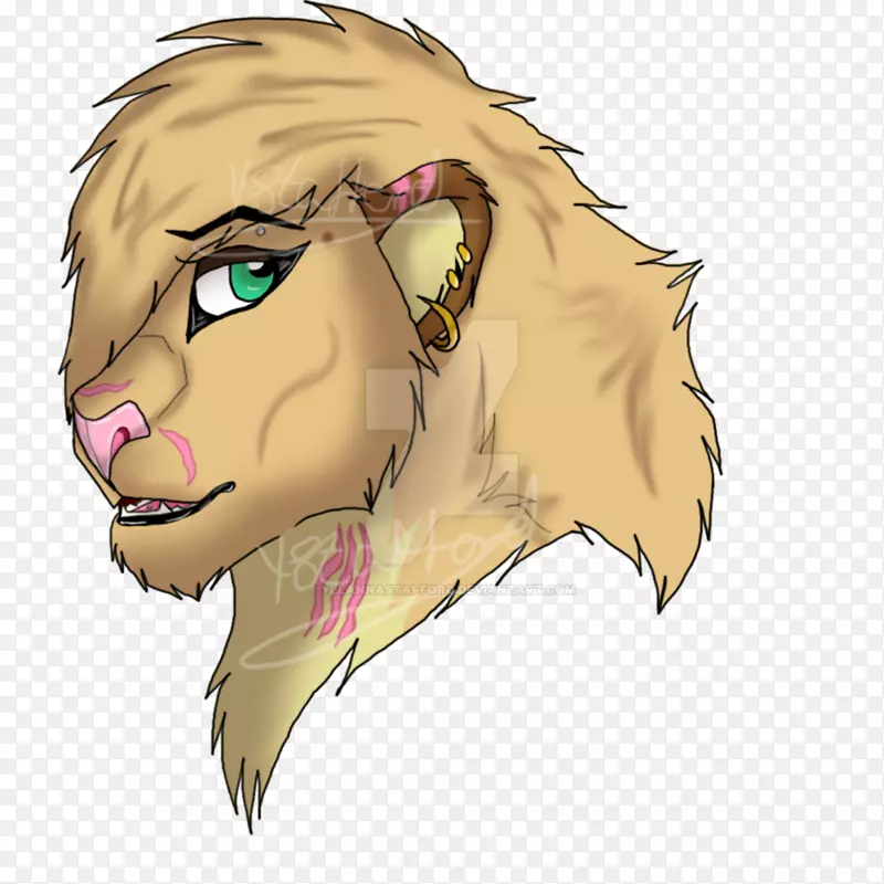 ʨ��è���ӣ����䣬�°�-ʨ��-������