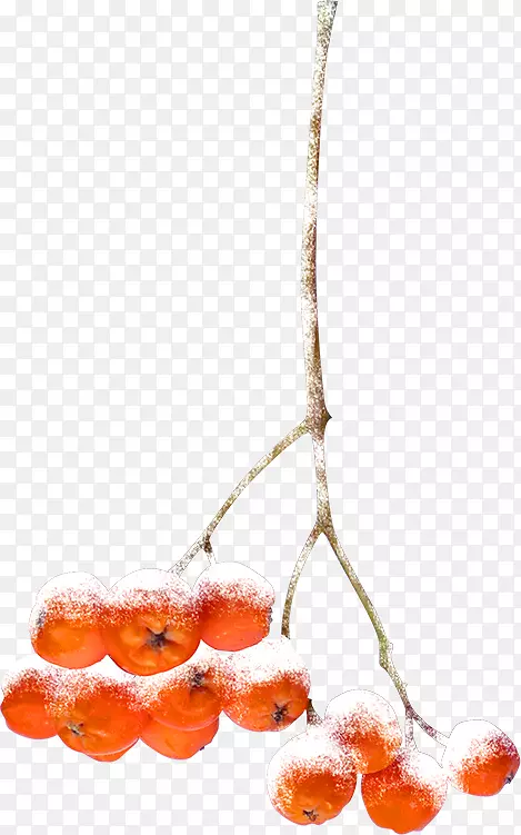 �̽۶���֦��װ�β���-������