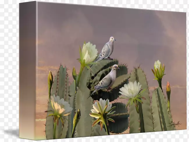 ѩ���������ƿ�ֲ����ӰҰ�������ƿ�������-������