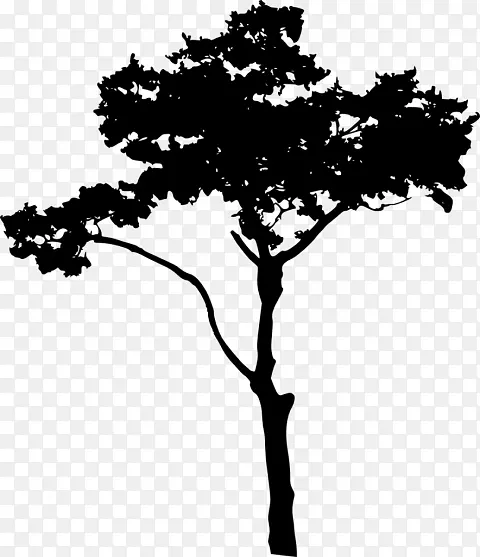 ��Ӱ������-����-������