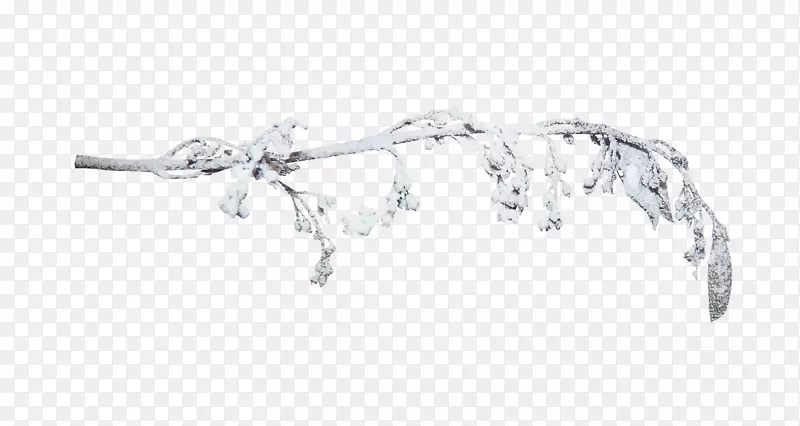 ѩ֦������.������֦ͼƬ����-������