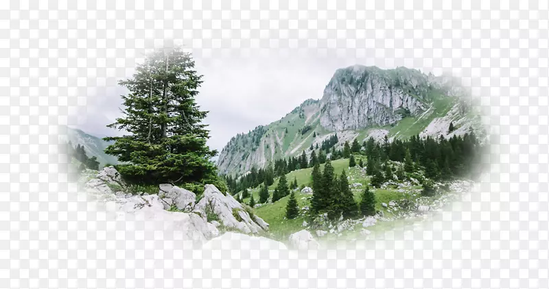 ̨ʽ����ֽ4k�ֱ��ʳ����������ӱ�ֽ-������